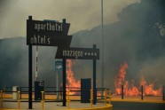 Spānijā meža ugunsgrēka dēļ evakuē 1000 cilvēku - 9