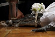 Vīrietis Meksikā apprec krokodilu