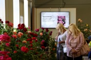 Rožu izstāde Dabas muzejā - 1