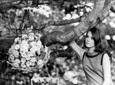 Natalie Wood actress in garden