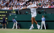 Teniss, Federers triumfē Vimbldonā - 2