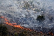 Montenegro_Balkans_Wildfires_43710.jpg-b008d