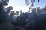 Meža ugunsgrēks Francijas dienvidos - 6