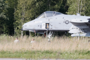 Igaunijā avarē ASV kaujas lidmašīna - 4
