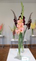 Gladiolu izstāde Dabas muzejā - 14