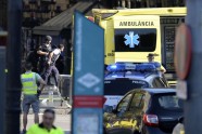 Mikroautobuss ietriecas cilvēkos Barselonā - 7