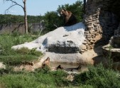 Izglābti lāči Ukrainā - 9