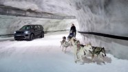'Land Rover Discovery Sport' un suņi - 4