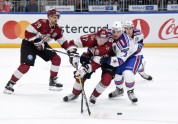 Hokejs, KHL: Rīgas Dinamo - Sanktpēterburgas SKA - 21