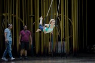 Cirque du Soleil Varekai - Kerren McKeeman - 1