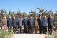 Kims Čenuns ābolu saimniecībā Ziemeļkorejā - 3