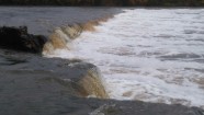 Plūdi Kurzemes upēs - 37