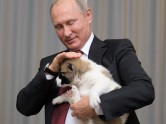 Putina kucēns - 2