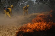 Meža ugunsgrēks Kalifornijā - 2