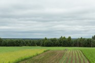 Latvijas skaistākās lauku saimniecības 2017 - 18