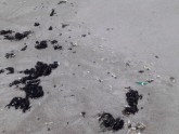 Bālas vielas Papes pludmalē - 6