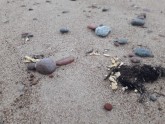 Bālas vielas Papes pludmalē - 14