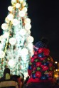 Jelgava aicina uz Ziemassvētku egles iedegšanu