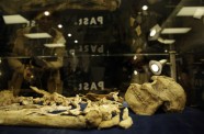 Australopithecus Mazā Kāja - 3