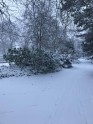 Aculiecinieku foto: sniegs Lielbritānijā - 4