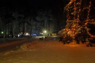 Ziemas naktis Rīgas zoodārzā - 8