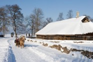 Igaunija ziemā