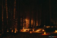 Sveču mežs - Sietiņiezis - 3