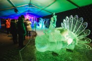 Ledus skulptūru festivāls Jelgavā