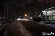 Ziemas naktis Rīgas zoo - 8
