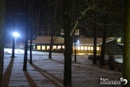 Ziemas naktis Rīgas zoo - 13