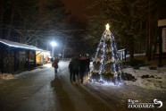 Ziemas naktis Rīgas zoo - 20