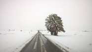 Sniegs Marokas dienvidos - 3