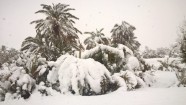 Sniegs Marokas dienvidos - 7