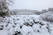 Ziema Ķemeru sanatorijas parkā - 12