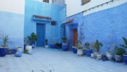 Šefšauena, Maroka - 66