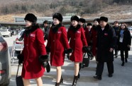 Ziemeļkorejas atbalstītājas ierodas Dienvidkorejā - 4