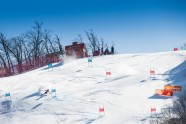 Phjončhanas olimpiskās spēles, kalnu slēpošanas milzu slaloms: Lelde Gasūna - 1
