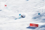 Phjončhanas olimpiskās spēles, kalnu slēpošanas milzu slaloms: Lelde Gasūna - 2