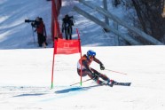 Phjončhanas olimpiskās spēles, kalnu slēpošanas milzu slaloms: Lelde Gasūna - 3