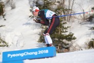 Phjončhanas olimpiskās spēles,distanču slēpošana 15 km, Indulis Bikše - 15