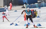 Phjončhanas olimpiskās spēles,distanču slēpošana 15 km, Indulis Bikše - 17