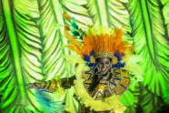 Riodežaneiro karnevāls - 8