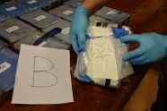 Krievijas vēstniecībā Argentīnā konfiscēts kokāīns - 1