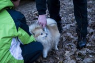RPP reidā Rīgā pārbauda 200 suņus - 3