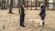 RPP reidā Rīgā pārbauda 200 suņus - 17