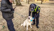RPP reidā Rīgā pārbauda 200 suņus - 18