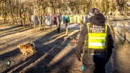 RPP reidā Rīgā pārbauda 200 suņus - 22