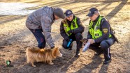 RPP reidā Rīgā pārbauda 200 suņus - 23