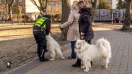RPP reidā Rīgā pārbauda 200 suņus - 24