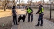 RPP reidā Rīgā pārbauda 200 suņus - 28